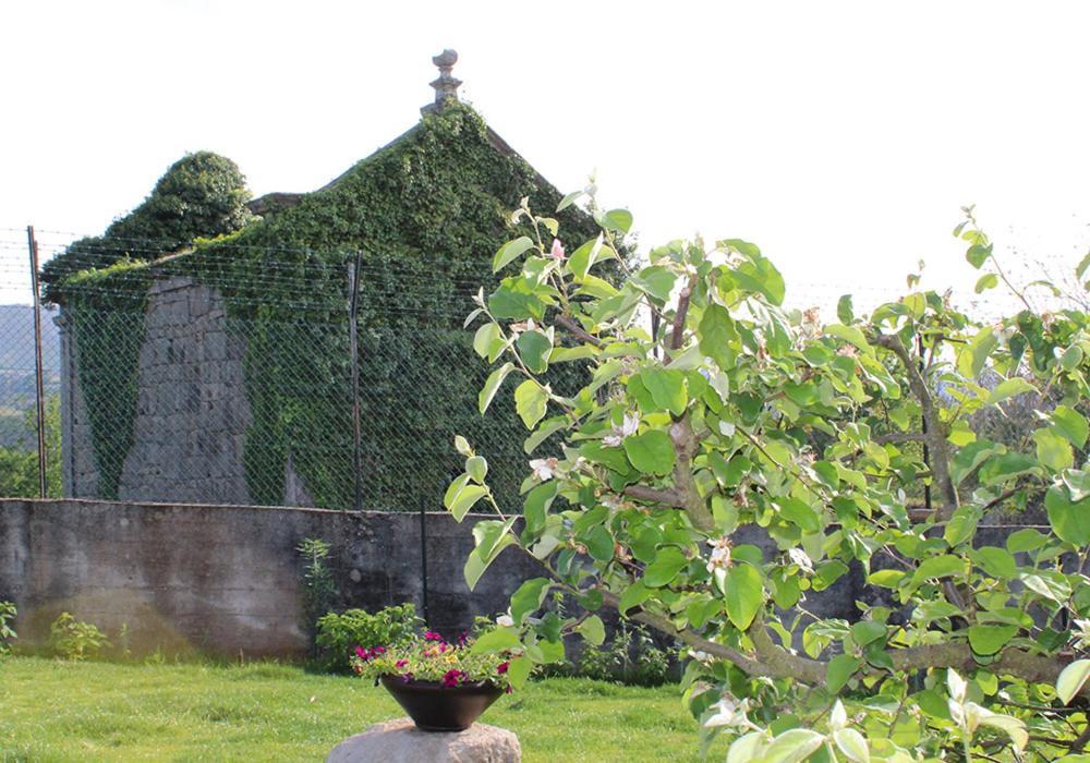 Casa D'Amares Villa Екстериор снимка